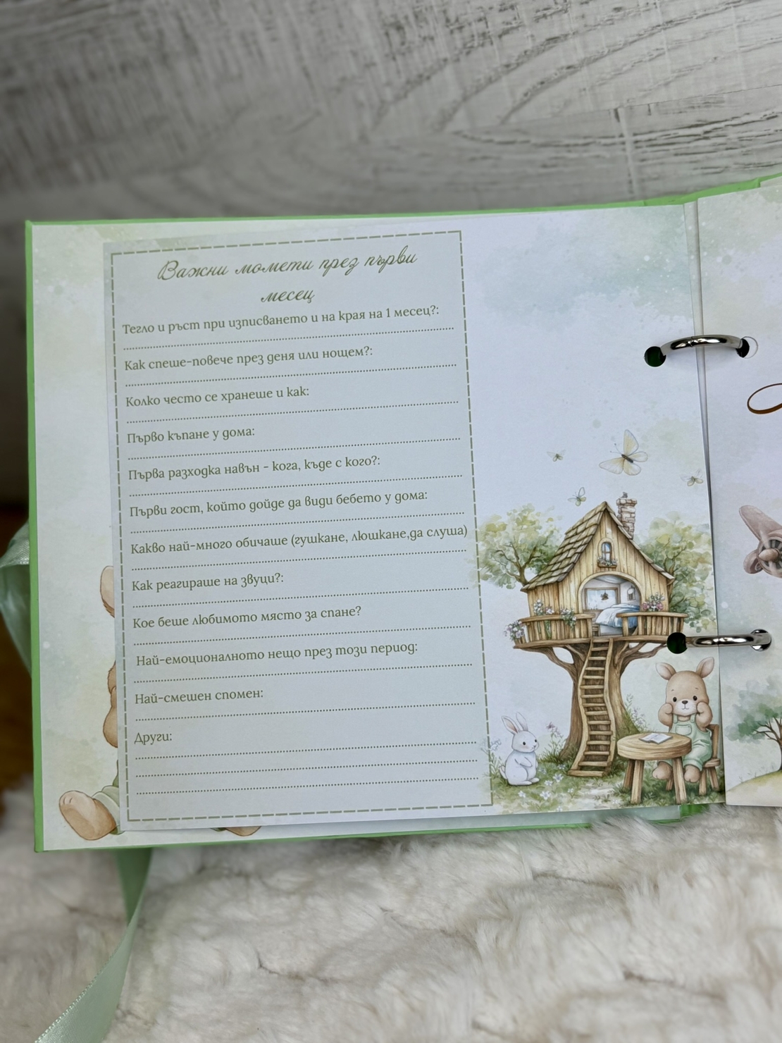 CRAFTONA Албум дневник с ринг механизъм - Зелени зайчета