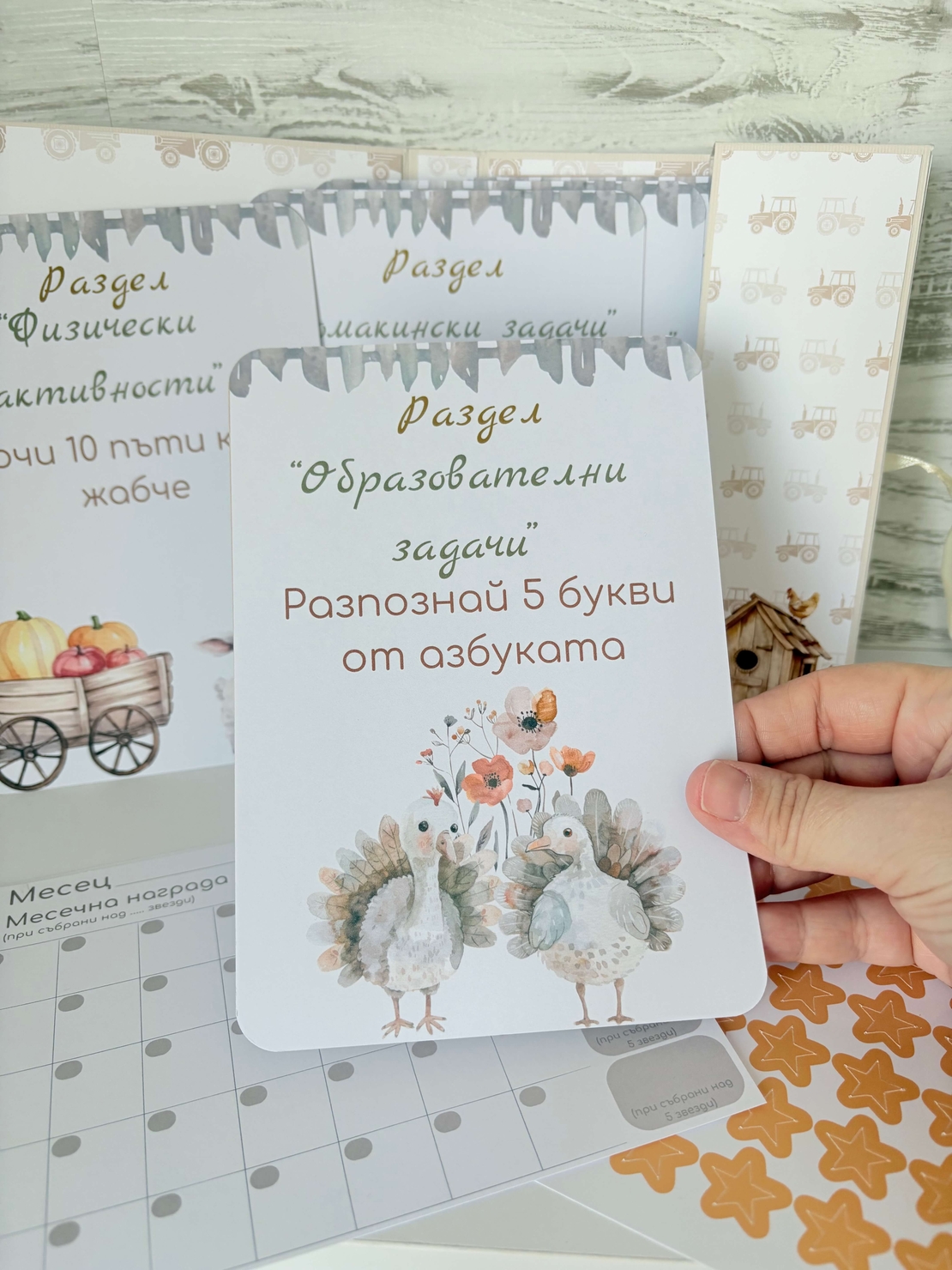 Албум с карти за добро поведение и награди