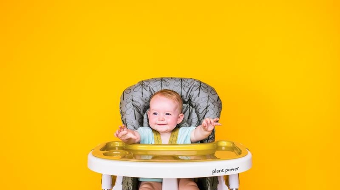  Столче за хранене Cosatto CT4217 Noodle 0+, Fika Forest 