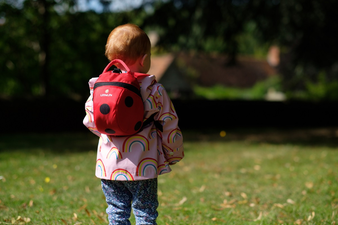  Раница LittleLife Калинка L10813, С повод 
