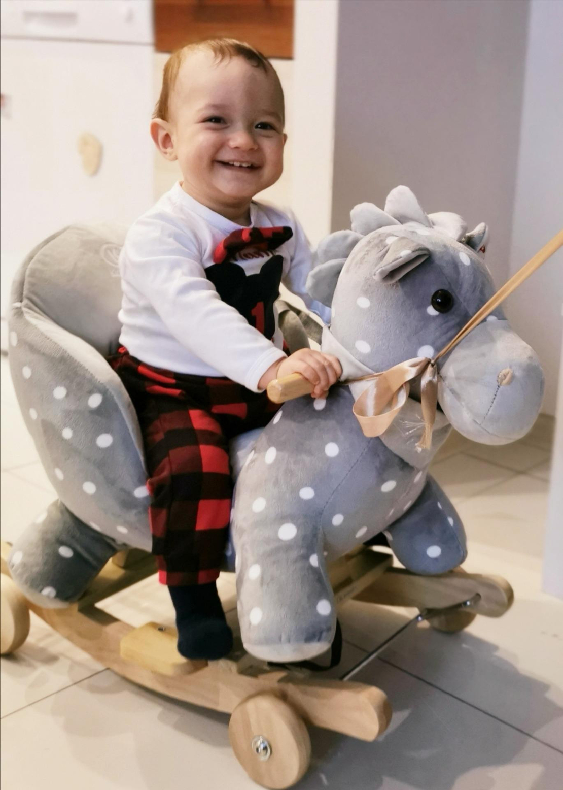 Люлеещо се конче KinderKraft HORSE