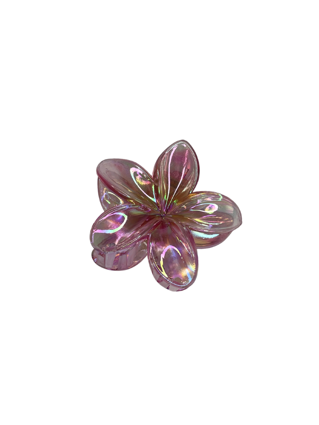 CUSTOM PLUMERIA CLIP in KOHO