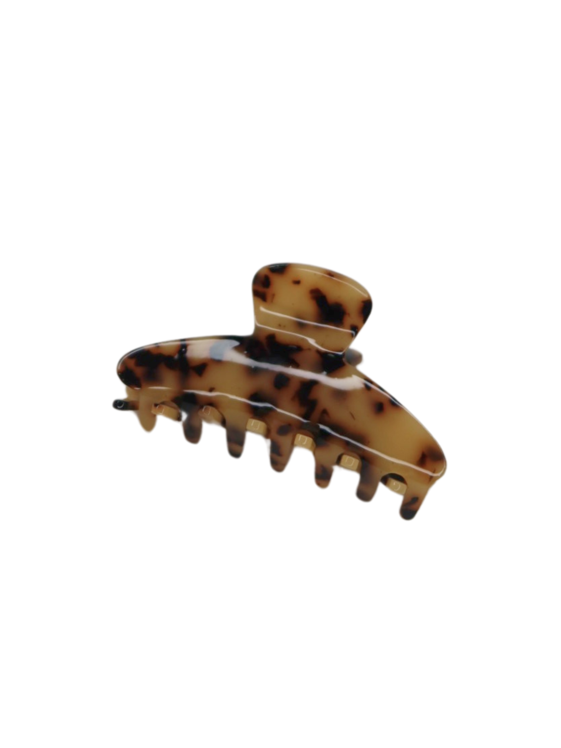 CUSTOM BIG GLAZED TORTOISE CLIP