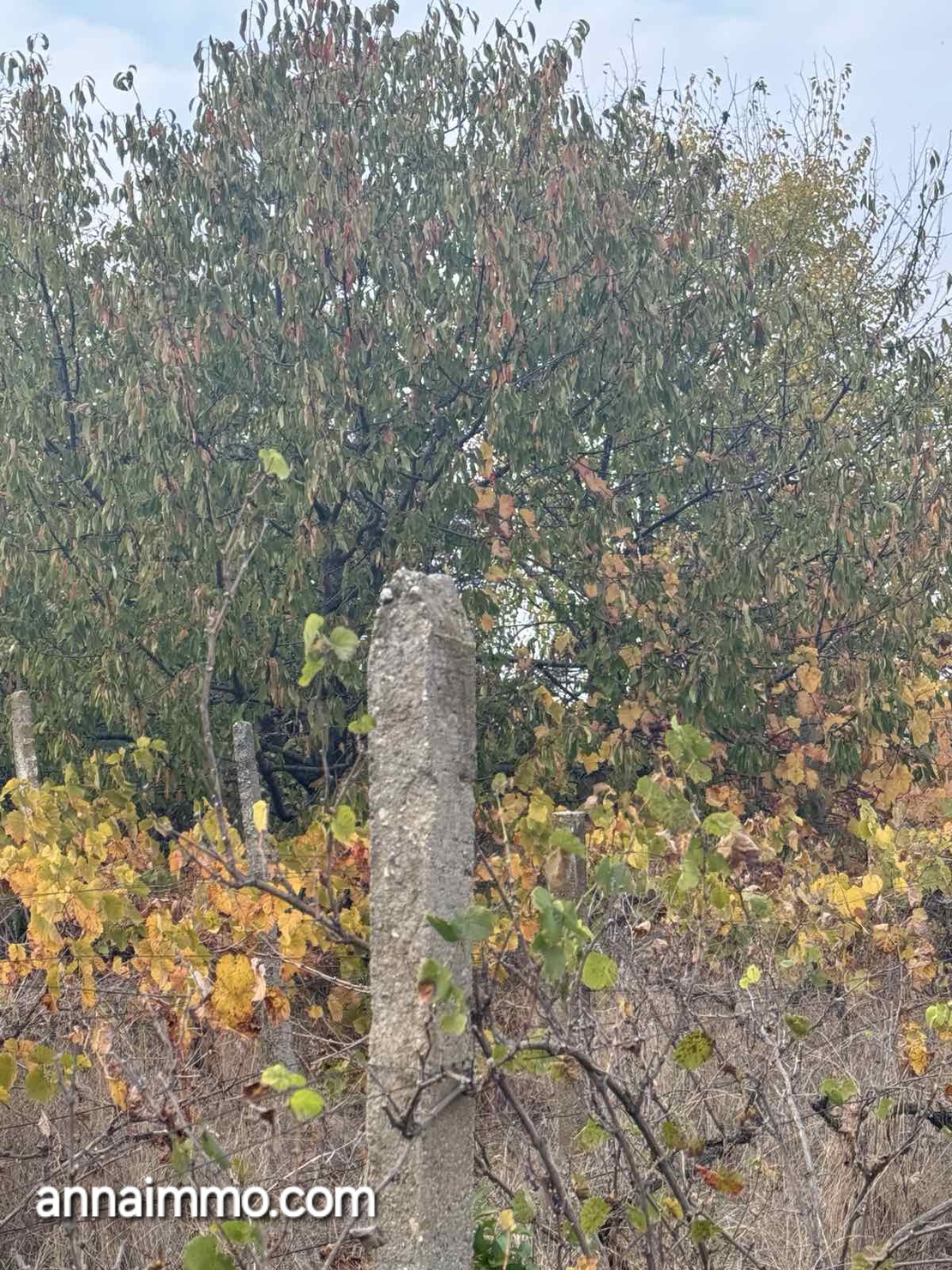 Къща Село Склаве 2