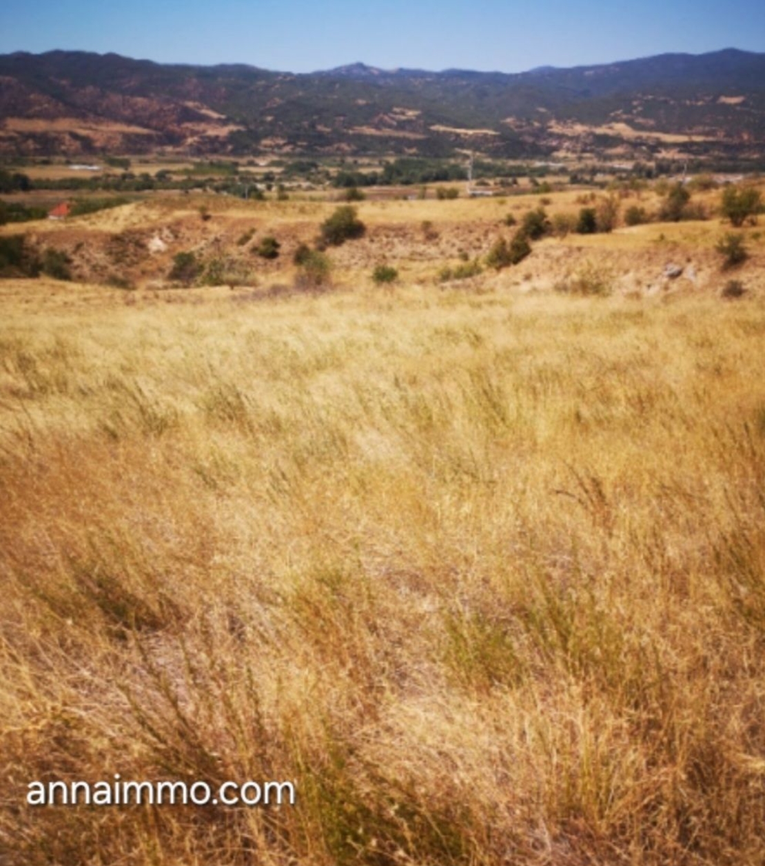 3 Парцела в село Струмяни в Регулация