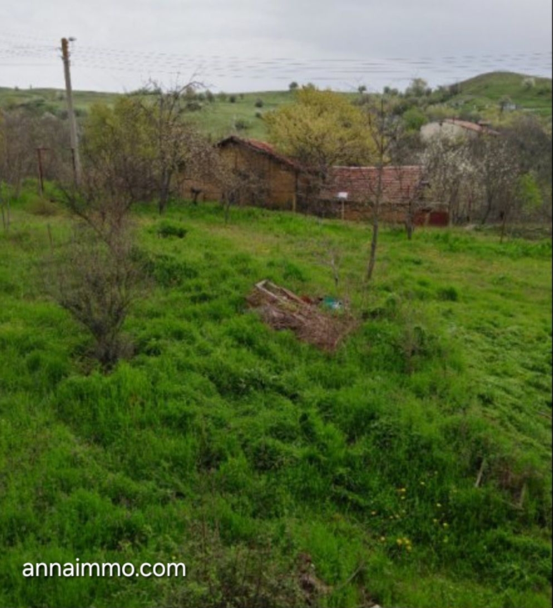 60000лв. Къща Село Хотово