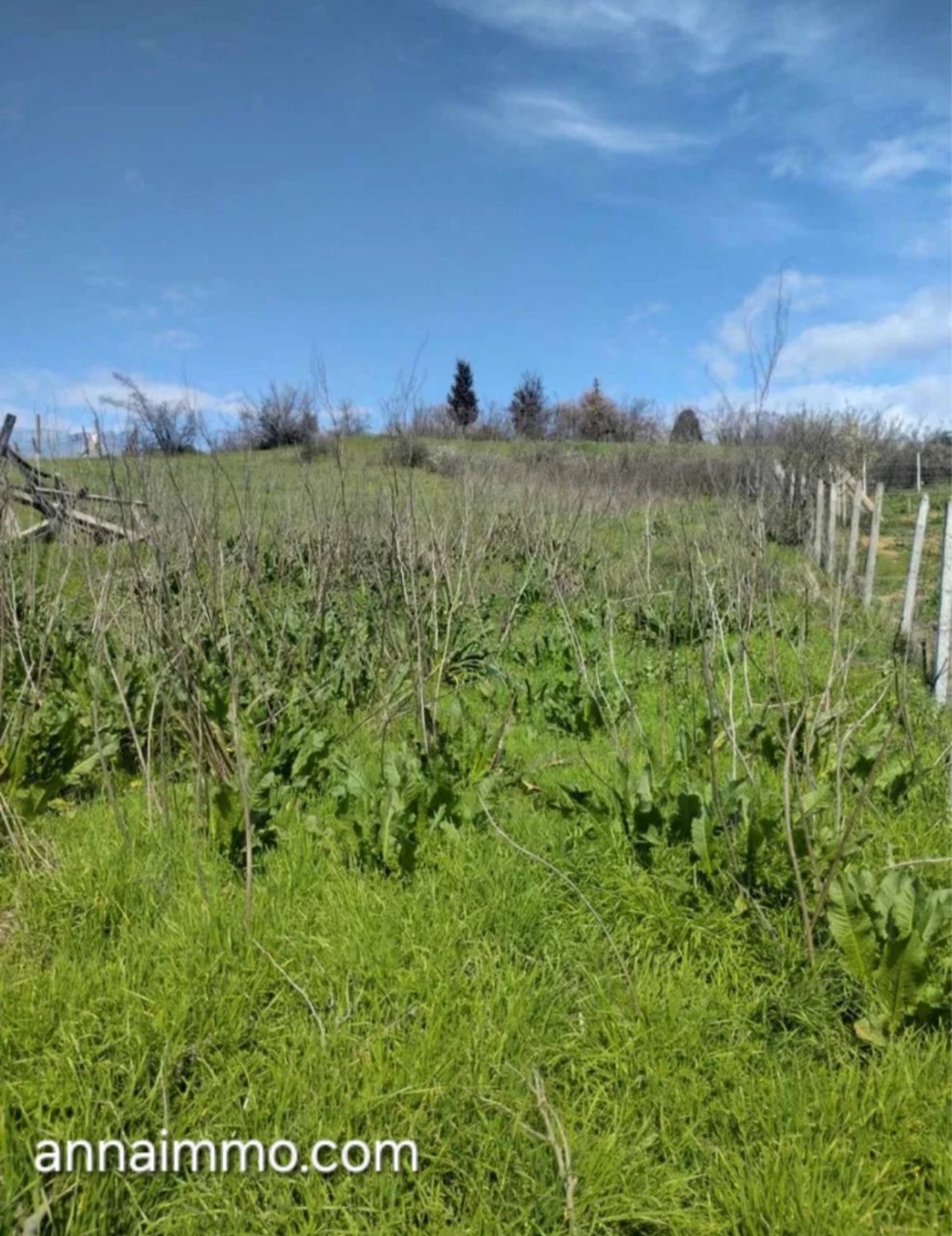 Къща в Село Генерал Тодоров 50000лв