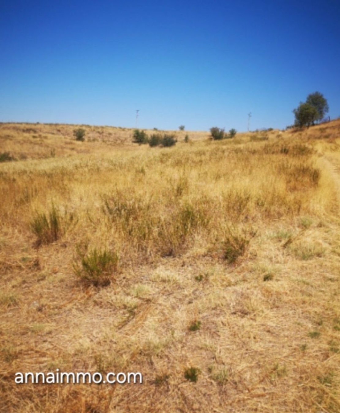 3 Парцела в село Струмяни в Регулация