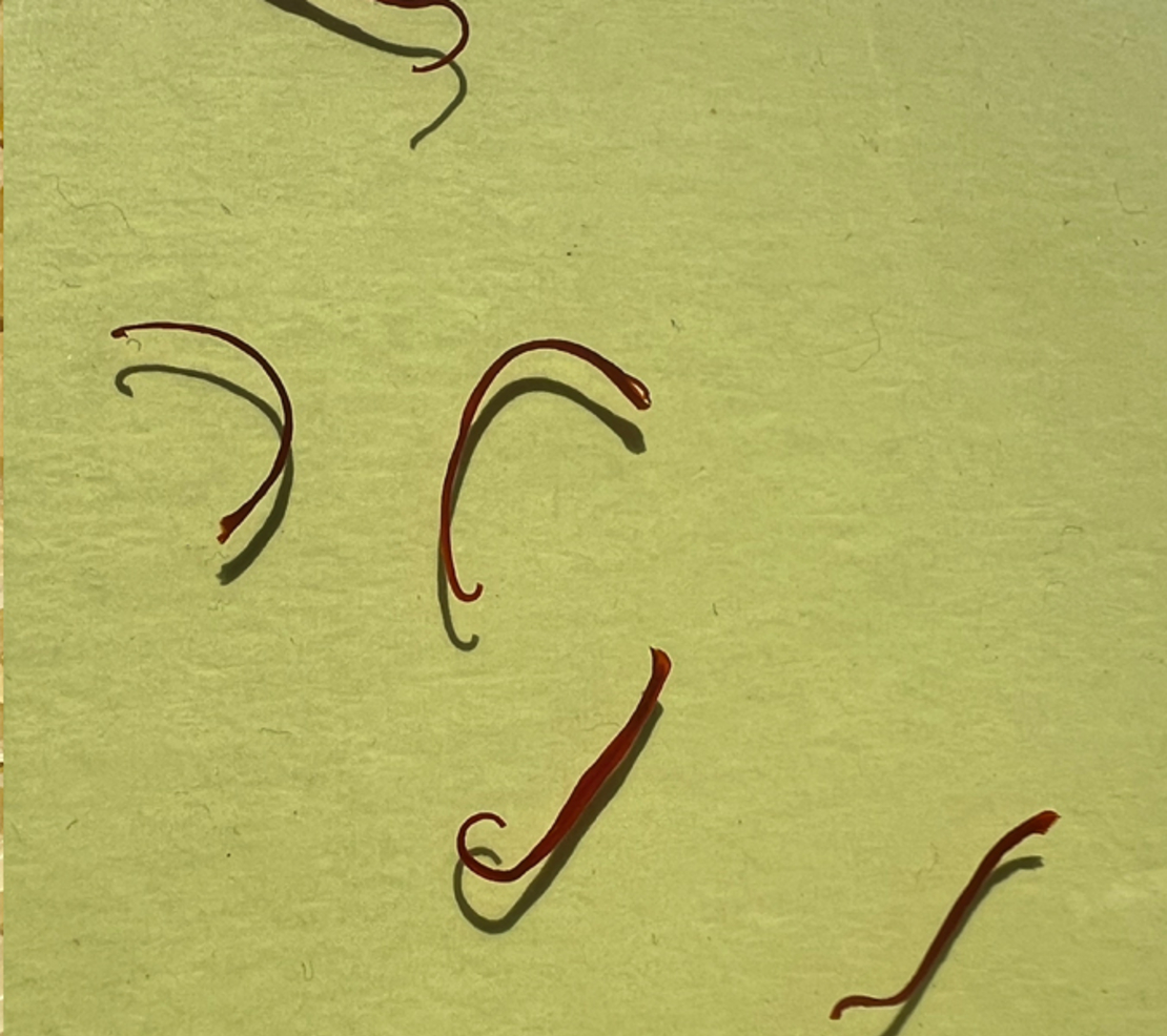 STEP 3 - BODY OIL