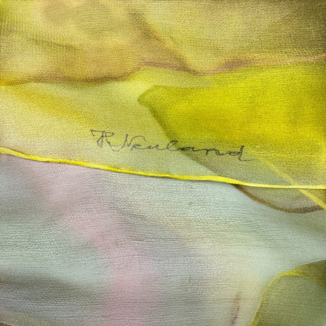 Ideen silk scarf 40x174