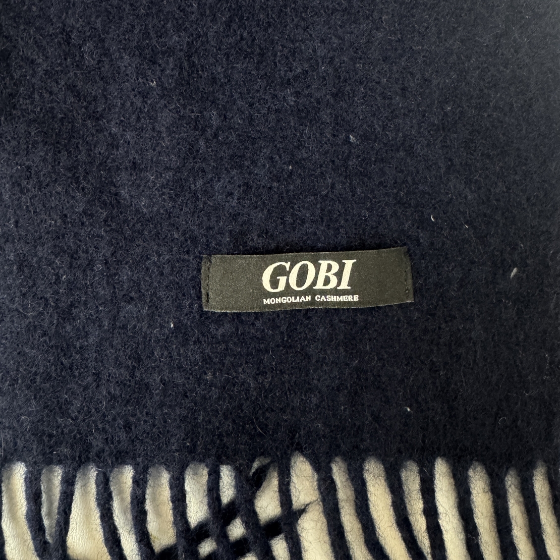 Gobi Cashmere scarf with fringes