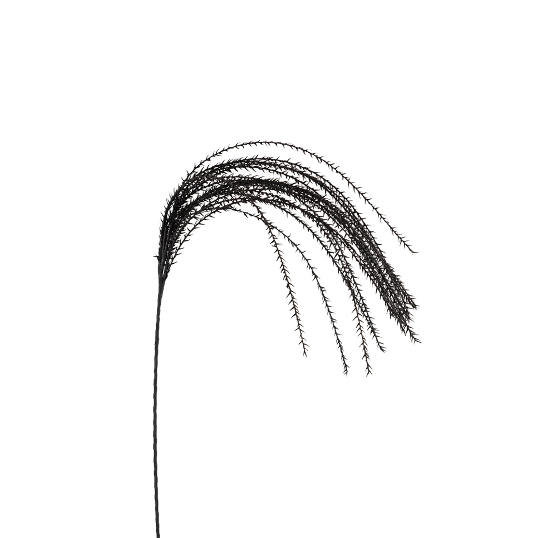 POISON ARTIFICIAL BRANCH EVA FOAM BLACK H145cm PRC