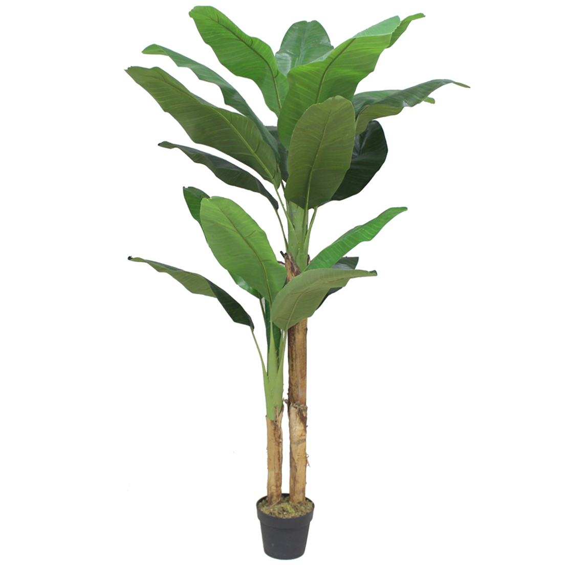 BANANA ARTIFICIAL PLANT IN POT PEVA GREEN H180cm P