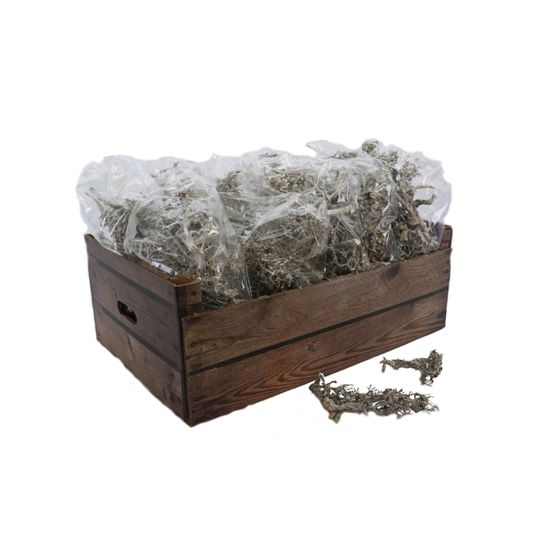 BONSAI ARTIFICIAL BRANCH EU