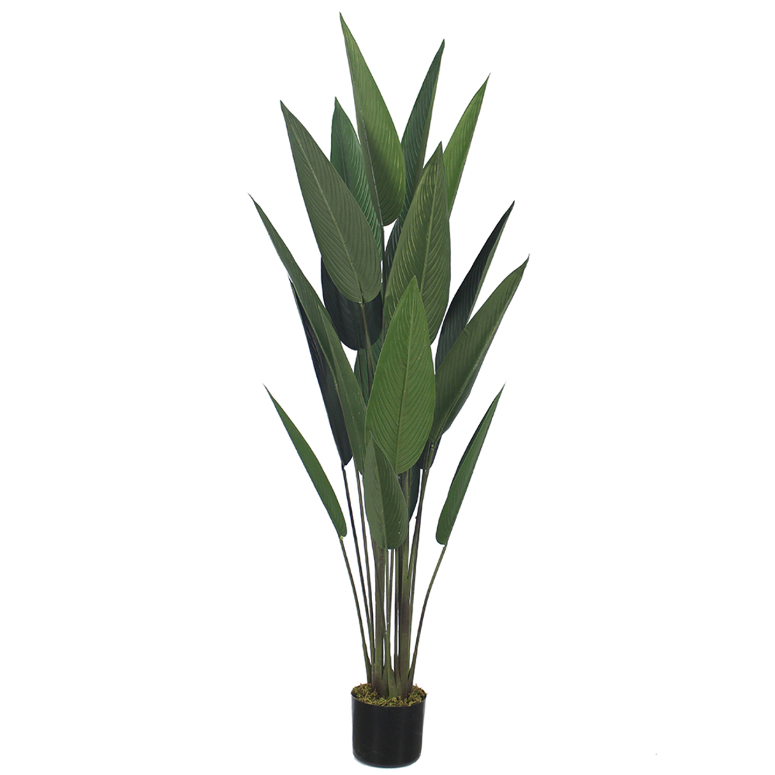 PARADISE BIRD ARTIFICIAL PLANT IN POT POLYESTER GR
