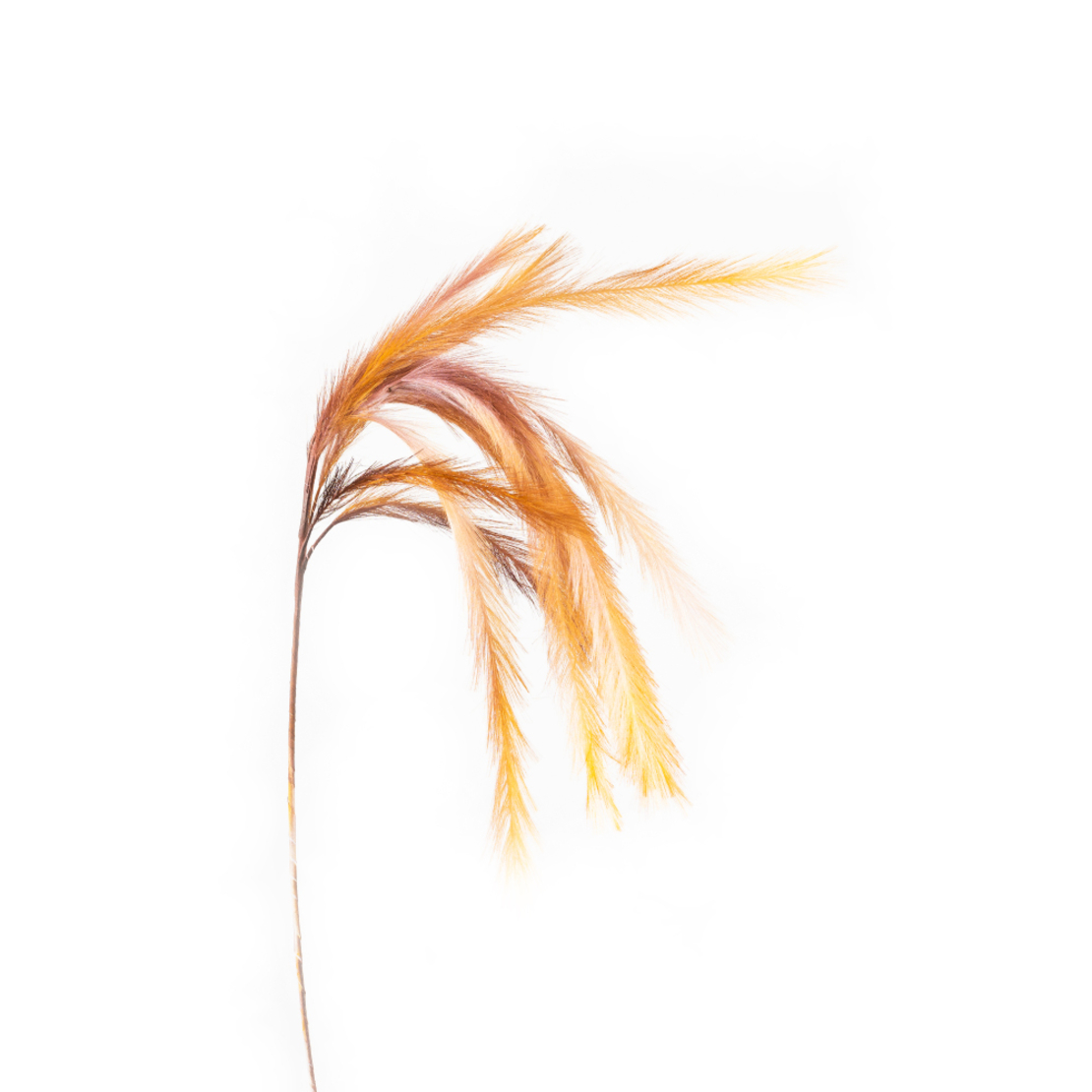 POLUO ARTIFICIAL BRANCH EVA FOAM YELLOW BROWN H110