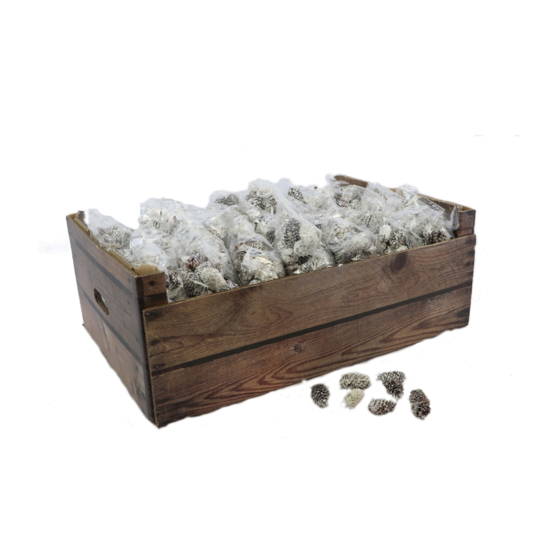 PINUS DECO PINE CONES WHITE EU