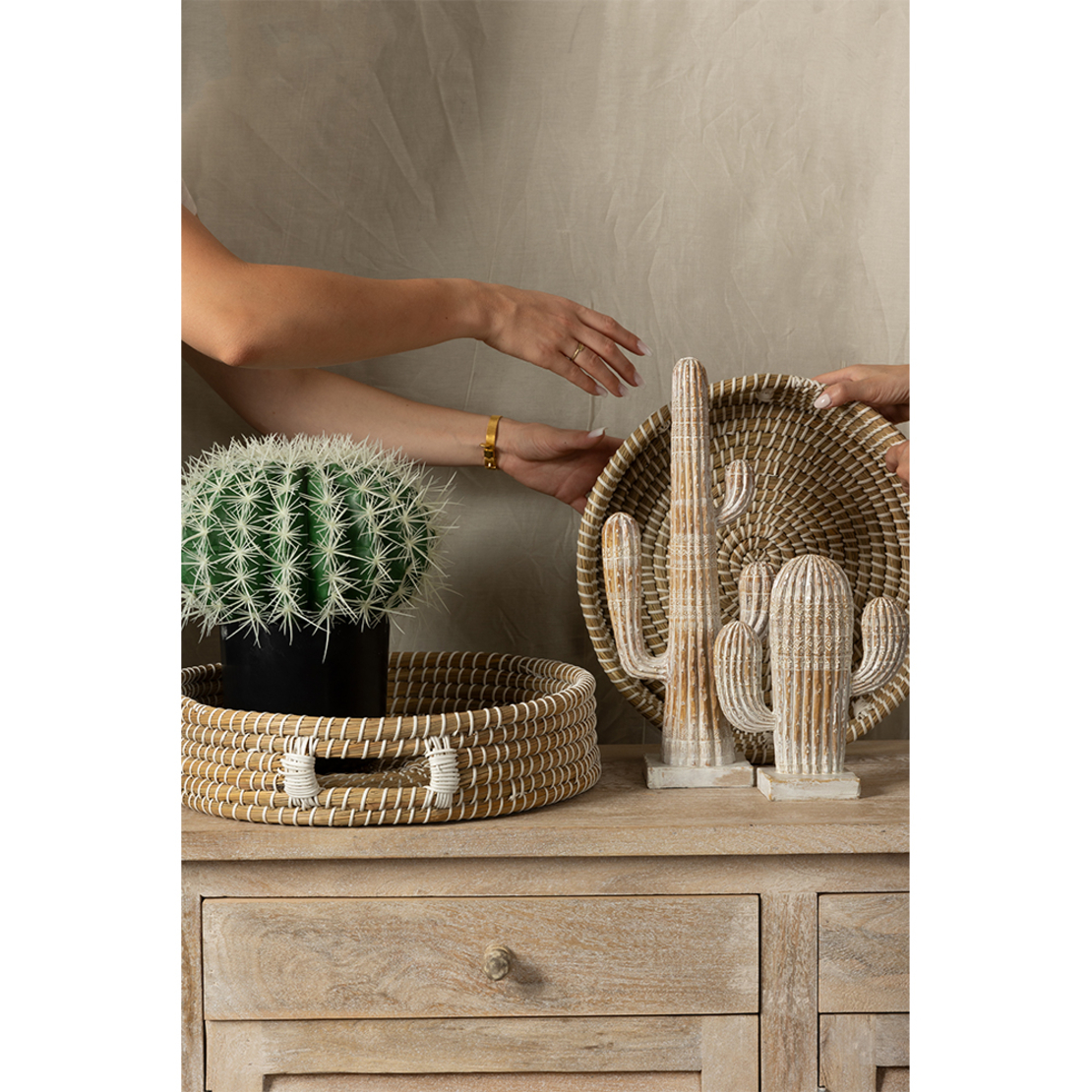 ARIANE 1 DECO CACTUS POLYRESIN NATURAL WHITE 19x6x