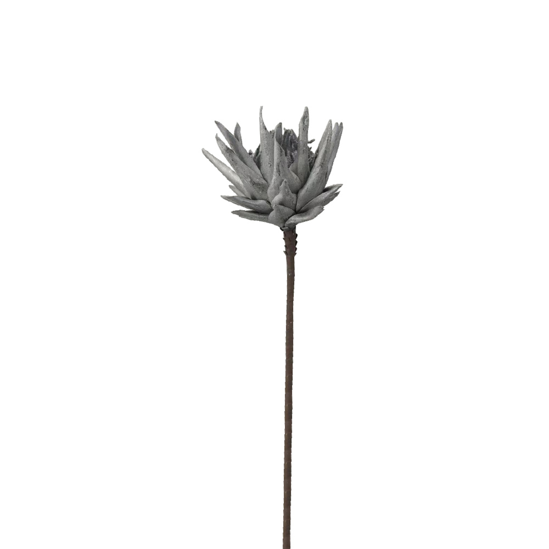XMAS EDULIS FLOWER FOAM SILVER H78cm PRC