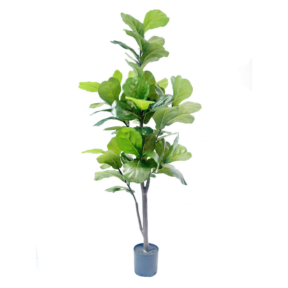 FICUS PANDURATA ARTIFICIAL PLANT IN POT FABRIC PVC