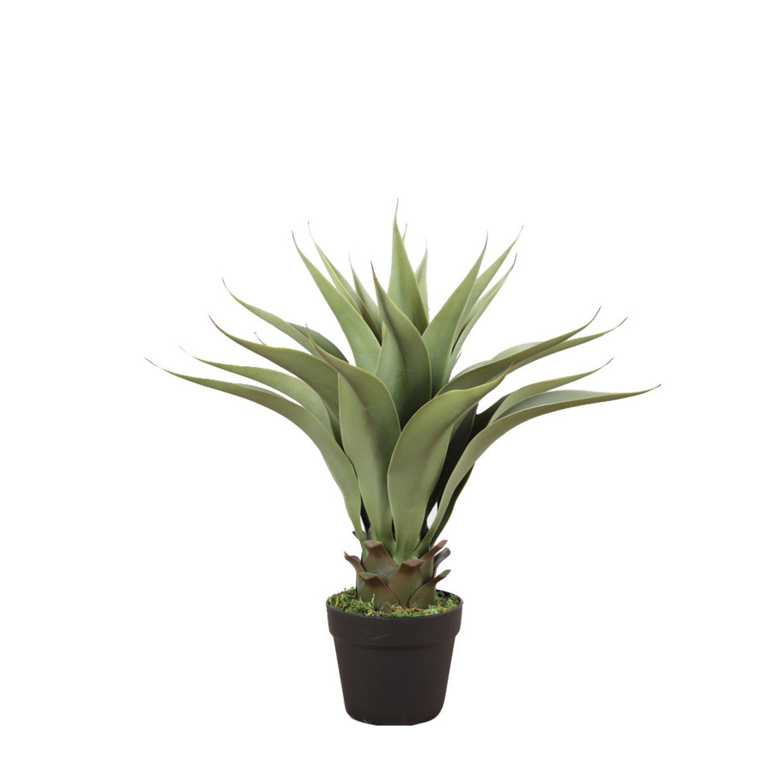 AGAVE ARTIFICIAL PLANT IN POT GREEN BLACK H55cm PR