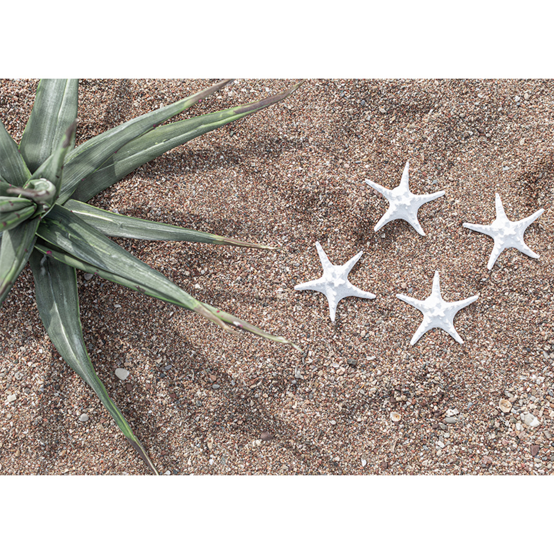 SEA DECO STARFISH POLYRESIN WHITE 11x11xH3,5cm PRC