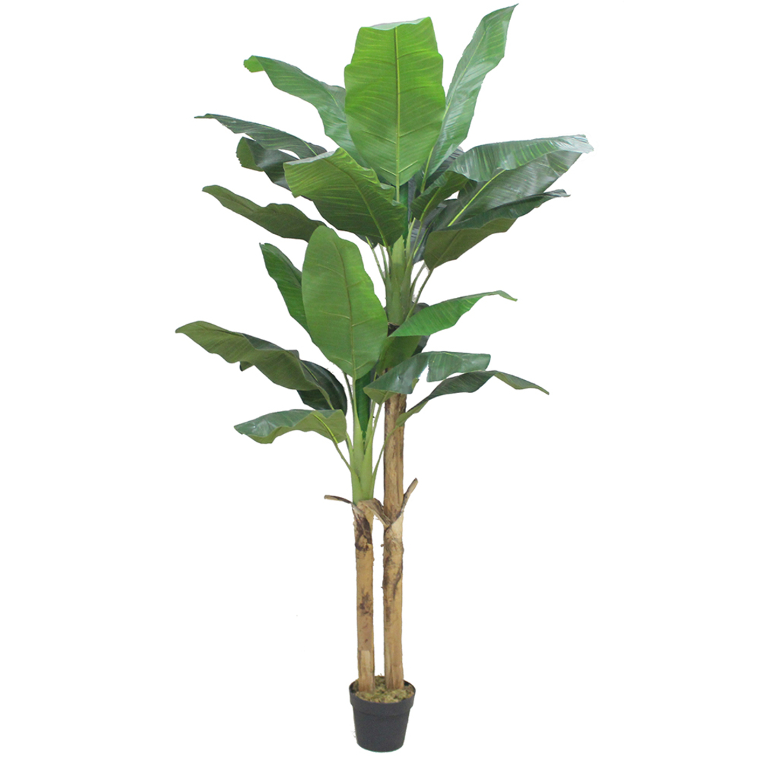 BANANA ARTIFICIAL PLANT IN POT PEVA GREEN H220cm P
