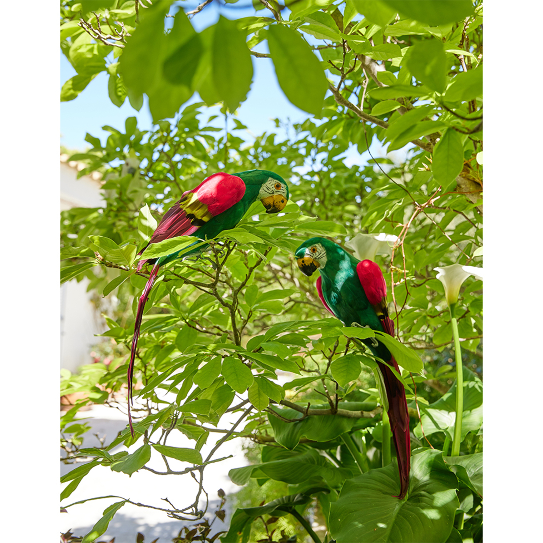 AMAZON PAPAGALO 2 DECO PARROT POLYFOAM MULTICOLOR