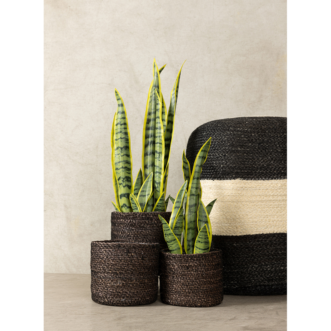 DEL MAR PLANTER SET 3PCS SEAGRASS BLACK D20/17/14x