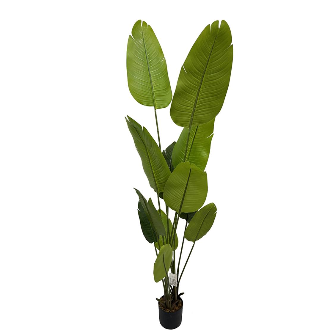 BANANA ARTIFICIAL PLANT IN POT PEVA GREEN H200cm P
