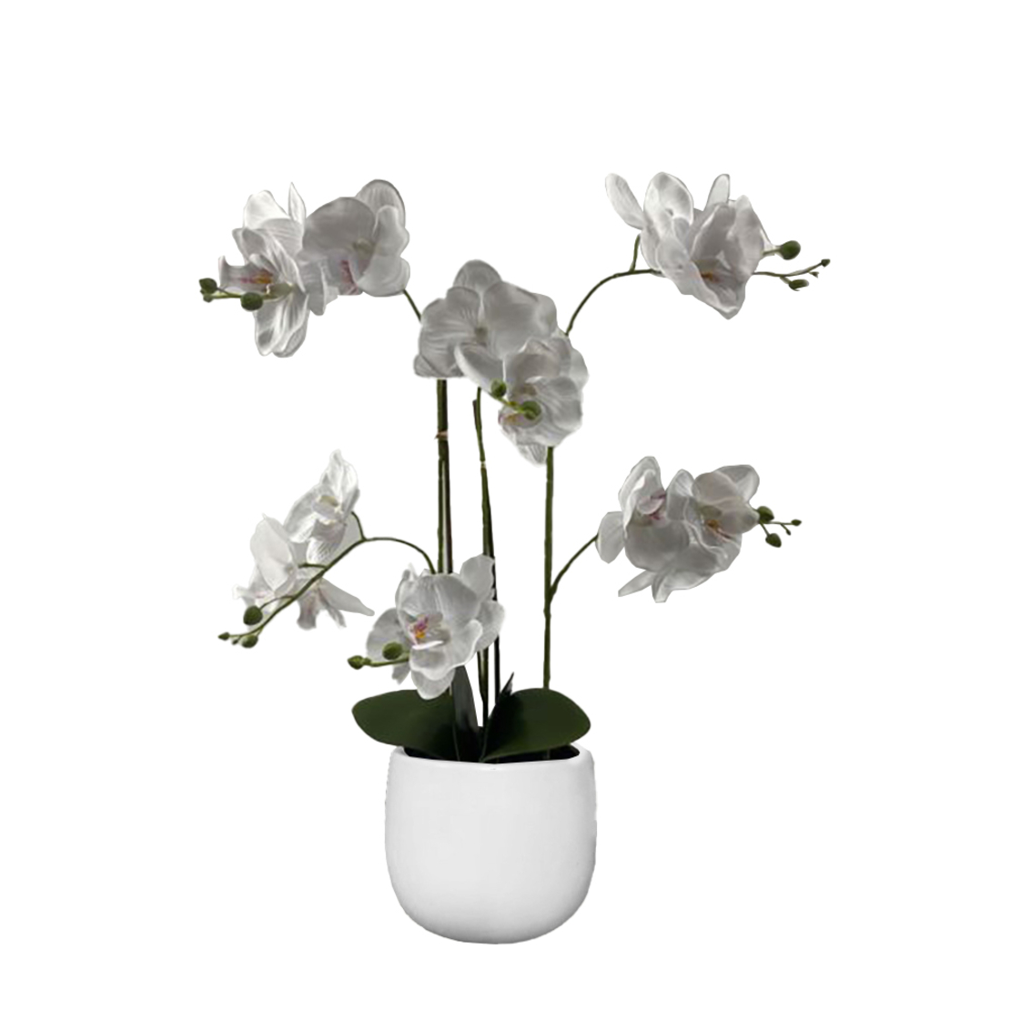 ORCHID IN POT ARTIFICIAL ORCHID FLOWER GREEN WHITE
