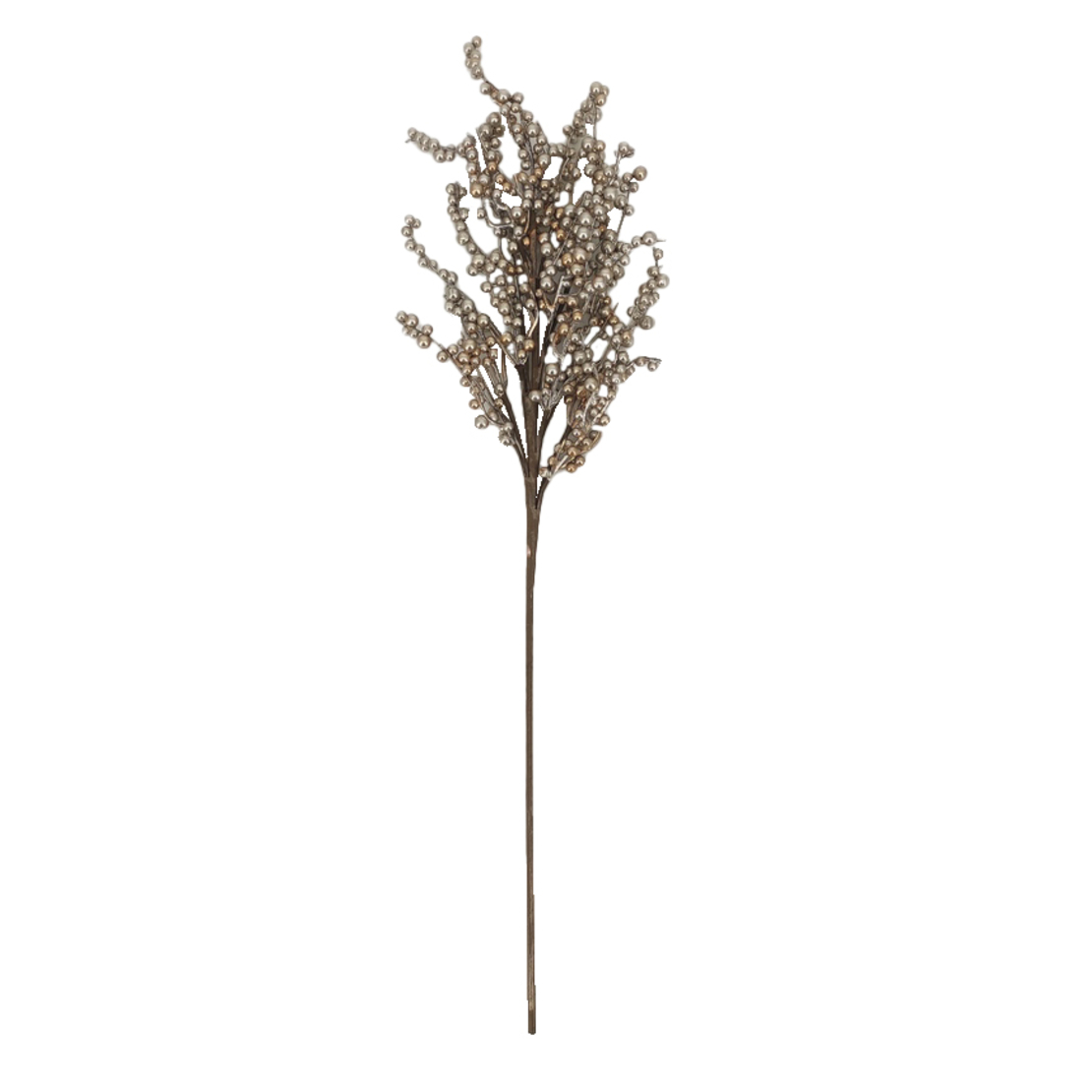 XMAS SILVER BERRY 68 CHAMPAGNE H68cm PRC