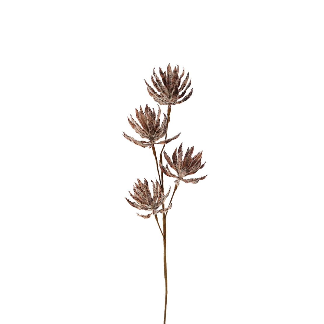 AROMA BLOSSOMS ARTIFICIAL FLOWER FOAM PVC BROWN H6