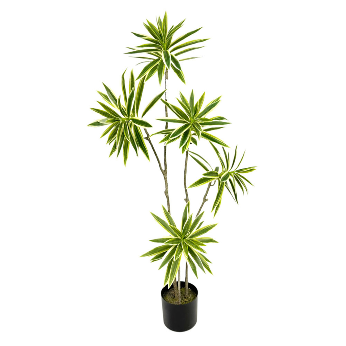 FATSIA ARTIFICIAL PLANT IN POT FABRIC PVC GREEN H1
