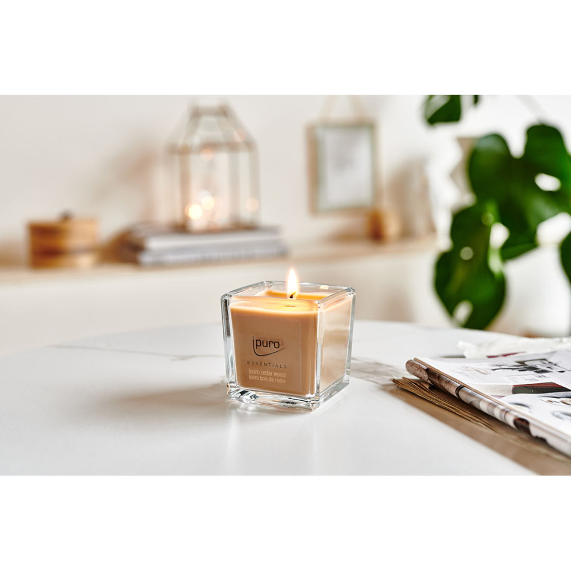 IPURO ESSENTIALS CEDAR WOOD CANDLE 125gr