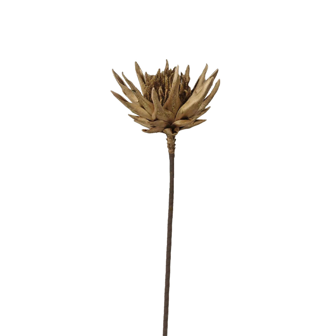 XMAS EDULIS FLOWER FOAM GOLD H78cm PRC
