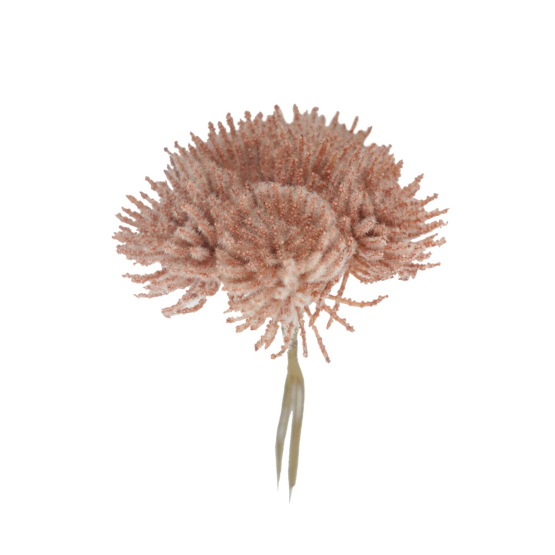 AROMA PARADISE ARTIFICIAL FLOWER FOAM PVC CORAL H2