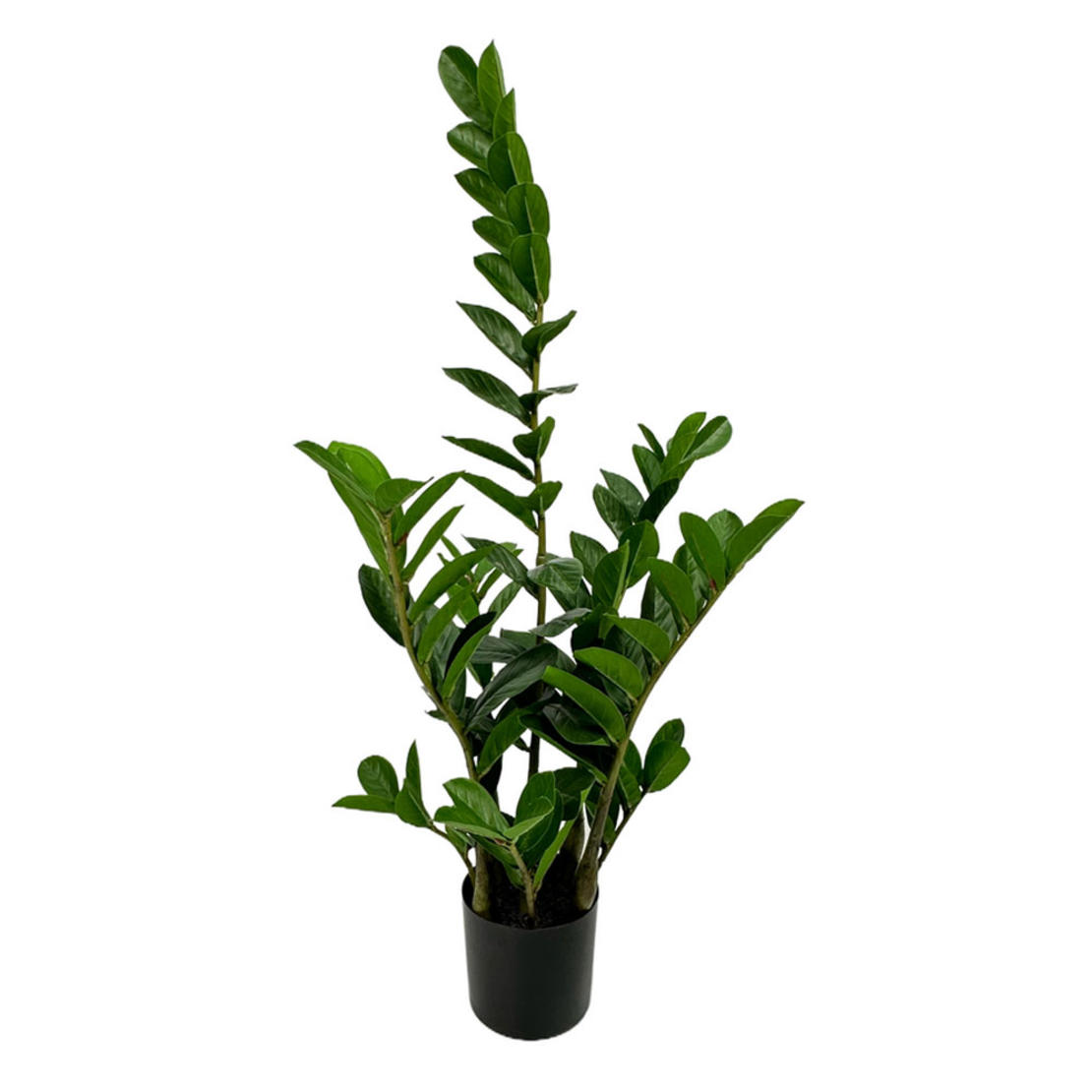 ZAMIA ARTIFICIAL PLANT IN POT FABRIC PVC GREEN H85