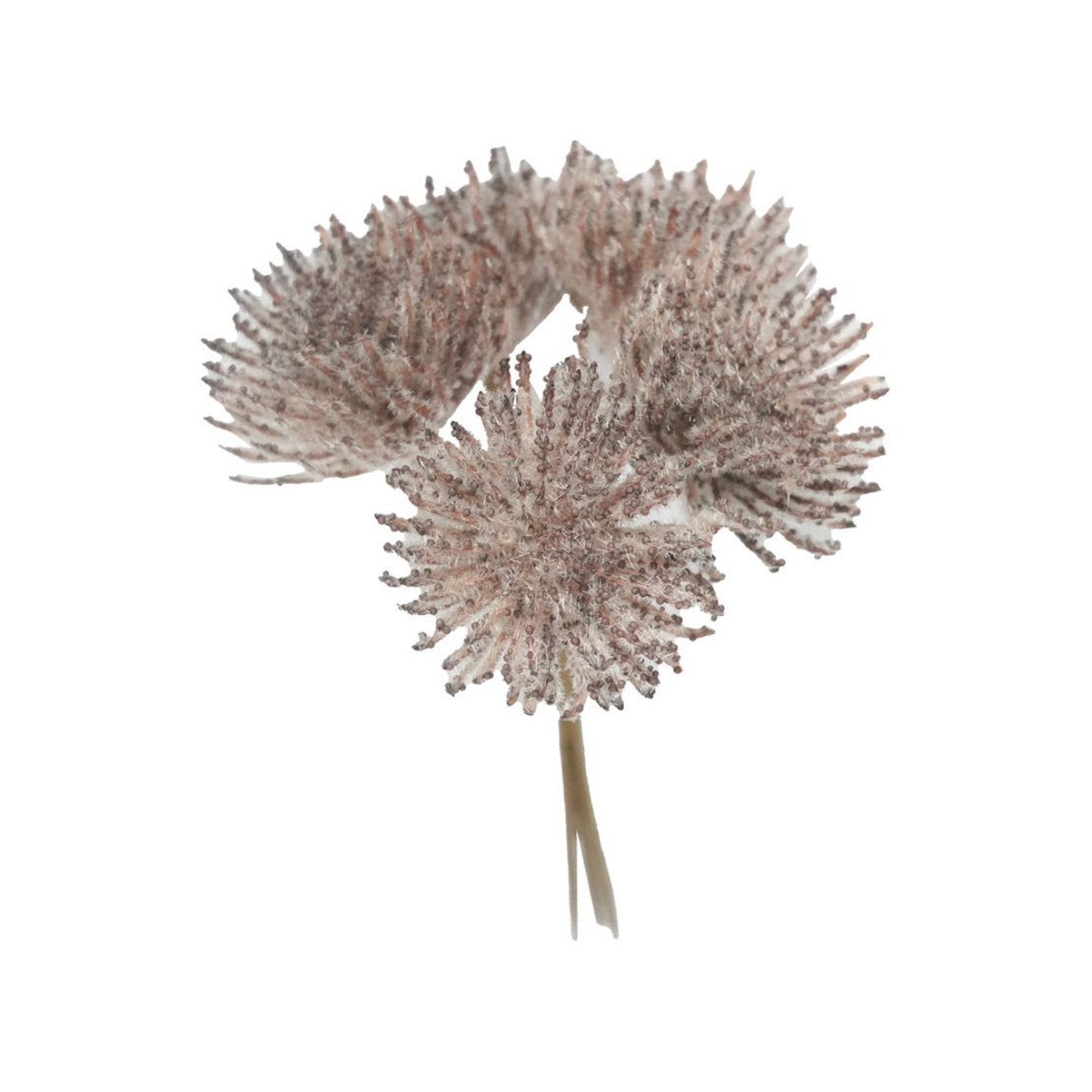 AROMA BLOSSOMS ARTIFICIAL FLOWER FOAM PVC BROWN H2