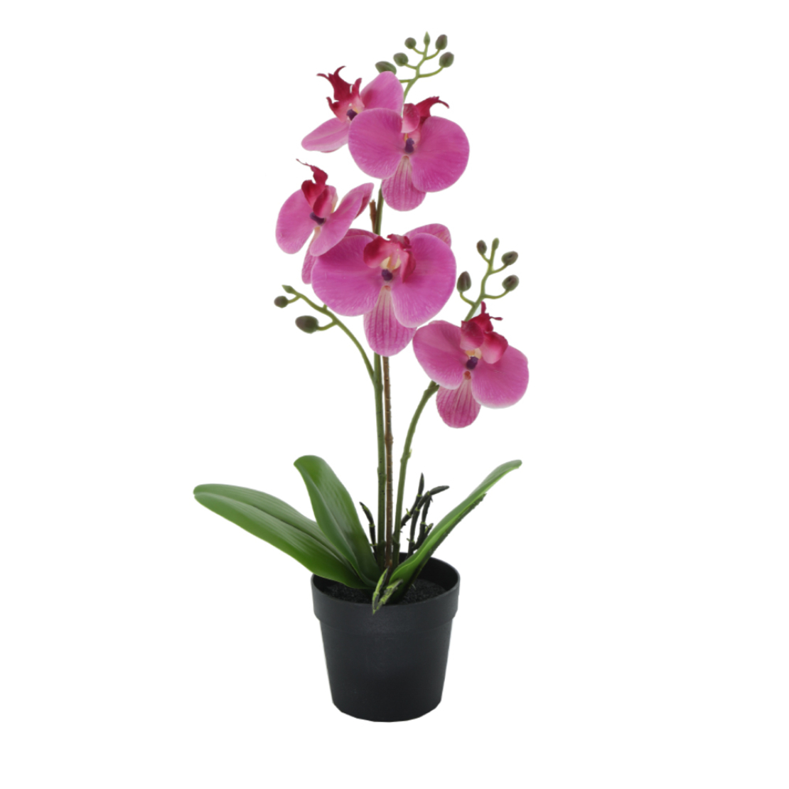 ORCHID 2 ARTIFICIAL PLANT PE/PP PEVA PURPLE GREEN
