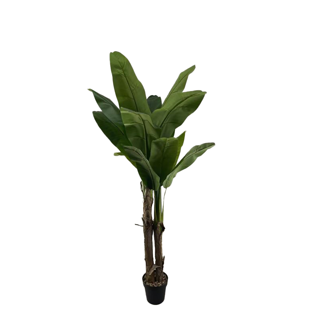 BANANA TREE 180 ARTIFICIAL PLANT GREEN H180cm PRC