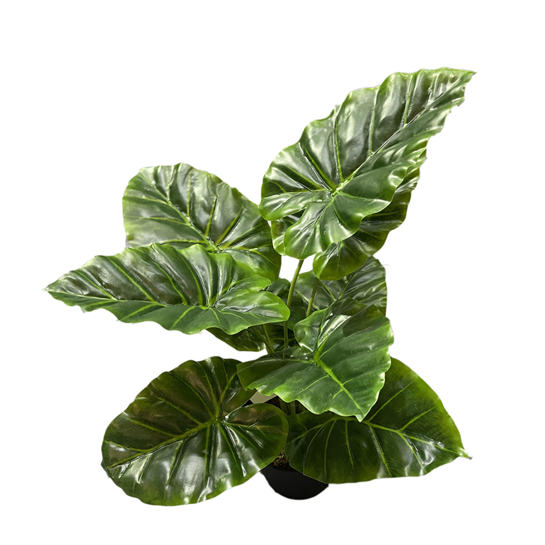 TARO ARTIFICIAL PLANT IN POT PEVA GREEN H35cm PRC