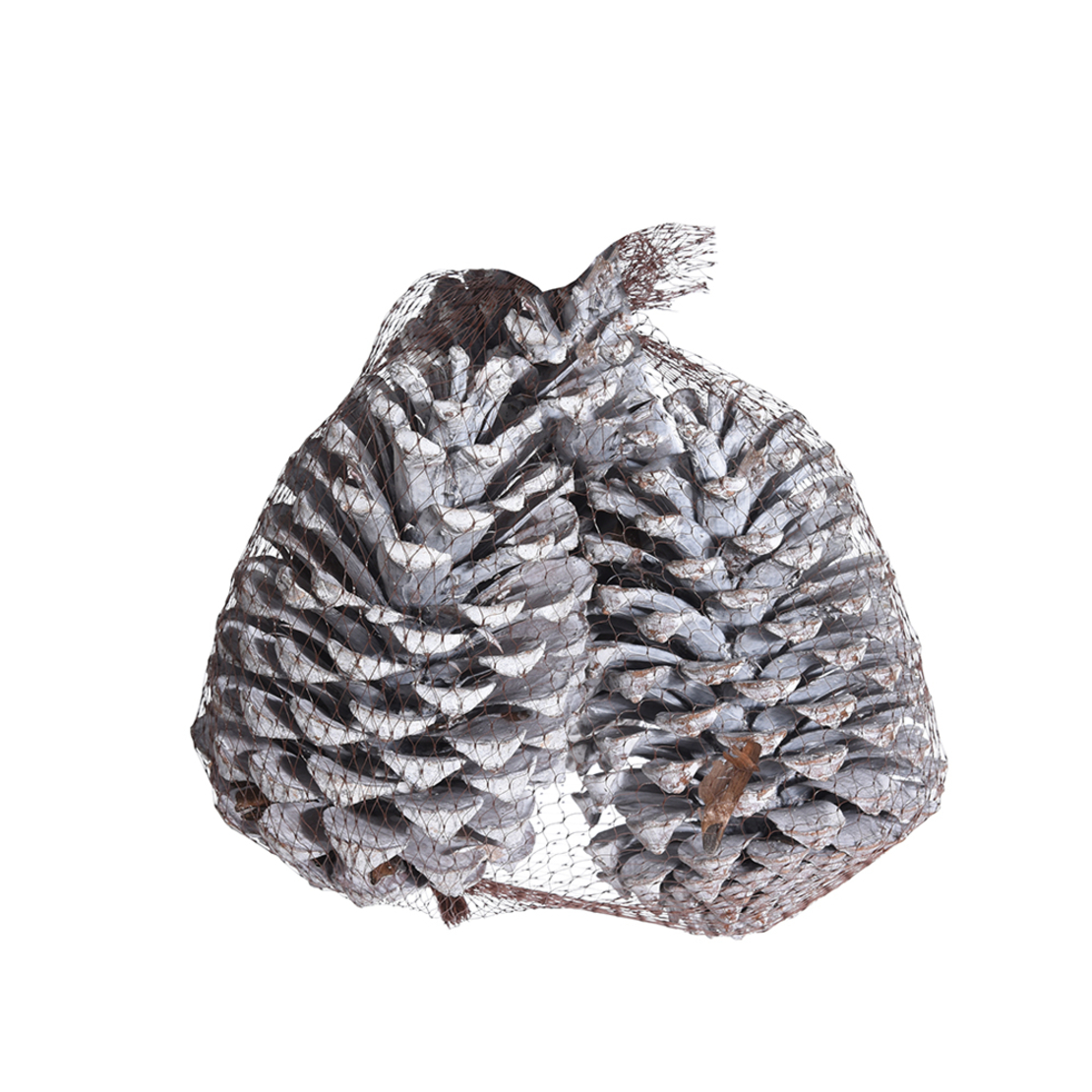 PINECONE DECO PINE CONES NATURAL 14cm EU
