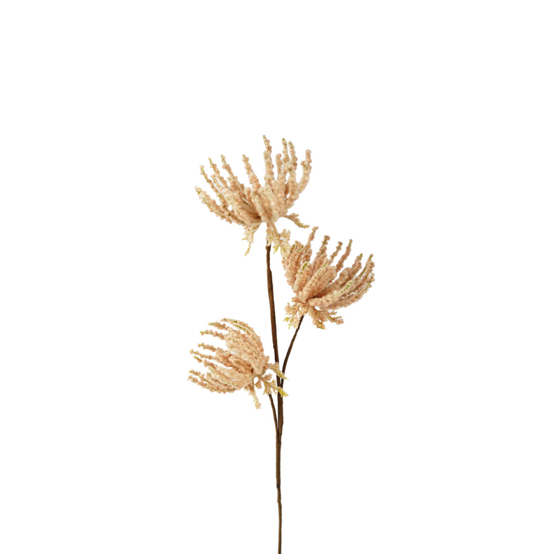 AROMA ESSENCE ARTIFICIAL FLOWER FOAM PVC BEI H70