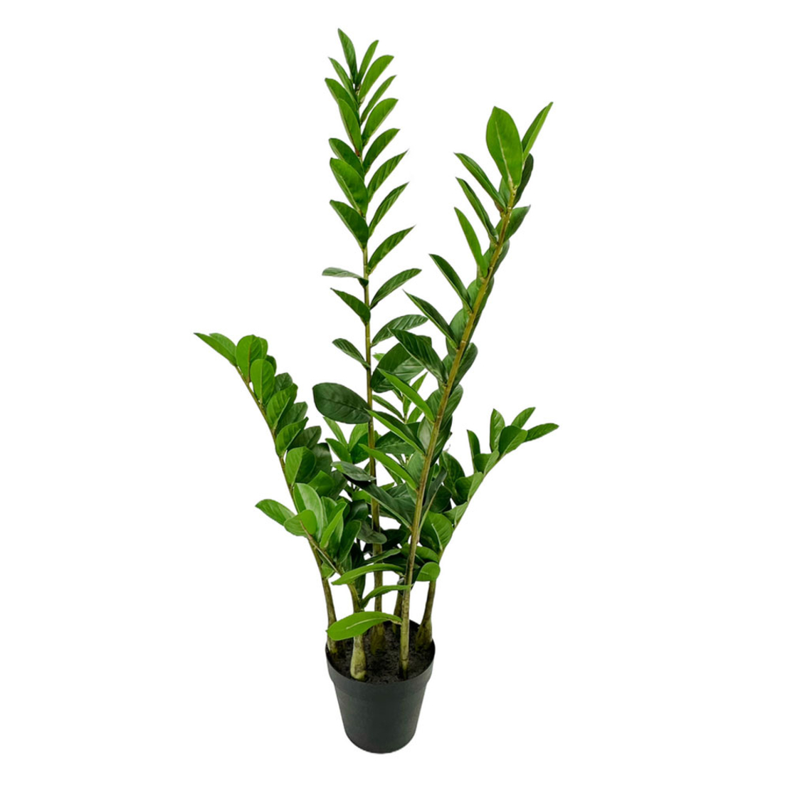 ZAMIA ARTIFICIAL PLANT IN POT FABRIC PVC GREEN H95