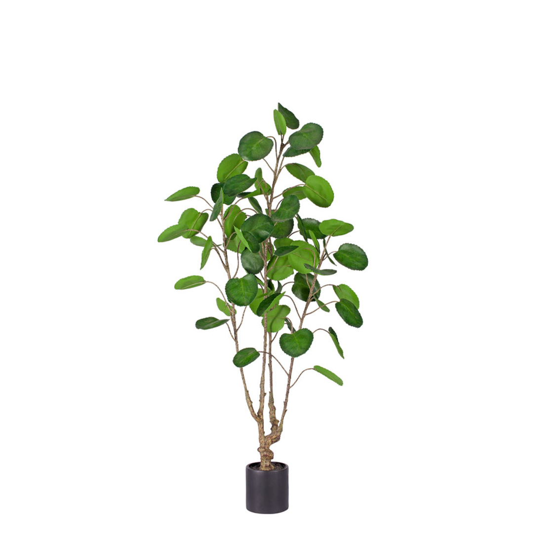 MONEY POCKET ARTIFICIAL PLANT IN POT PE GREEN H120