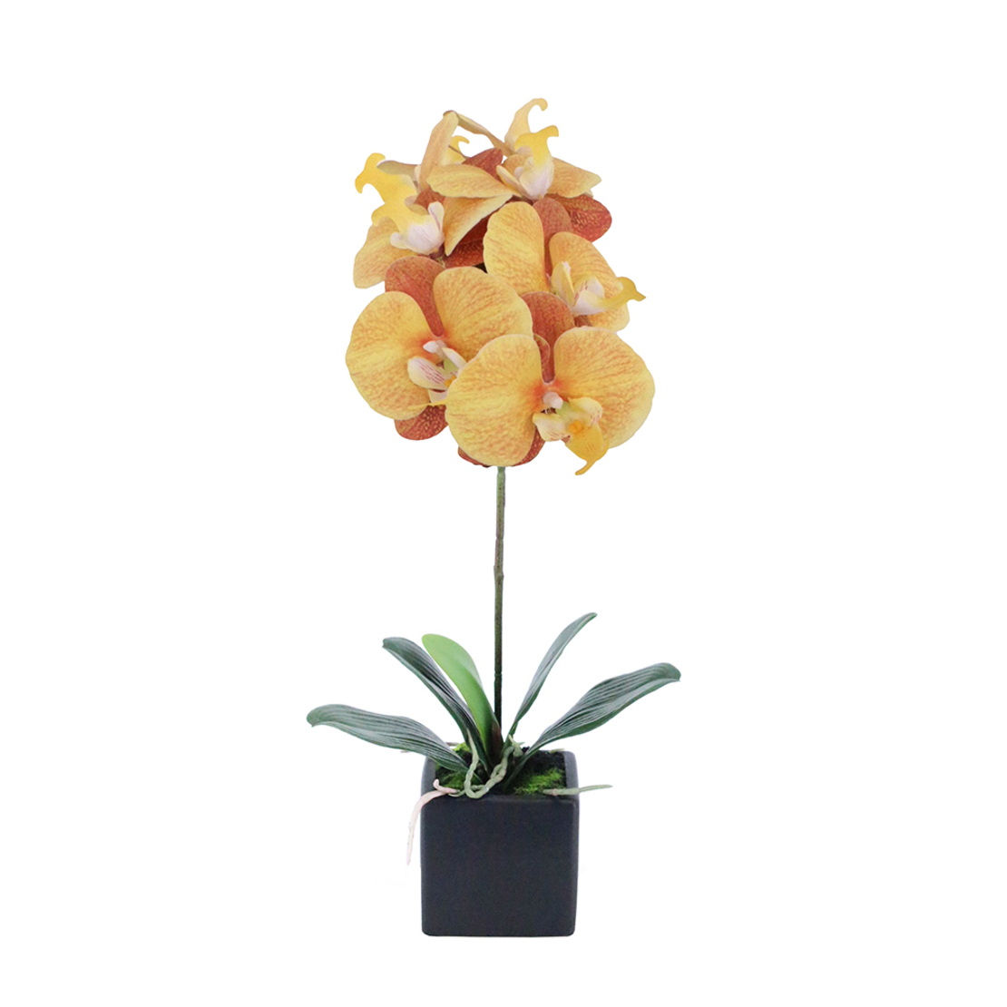 ORCHIDEA 4 ARTIFICIAL FLOWER PEVA CERAMIC YELLOW O