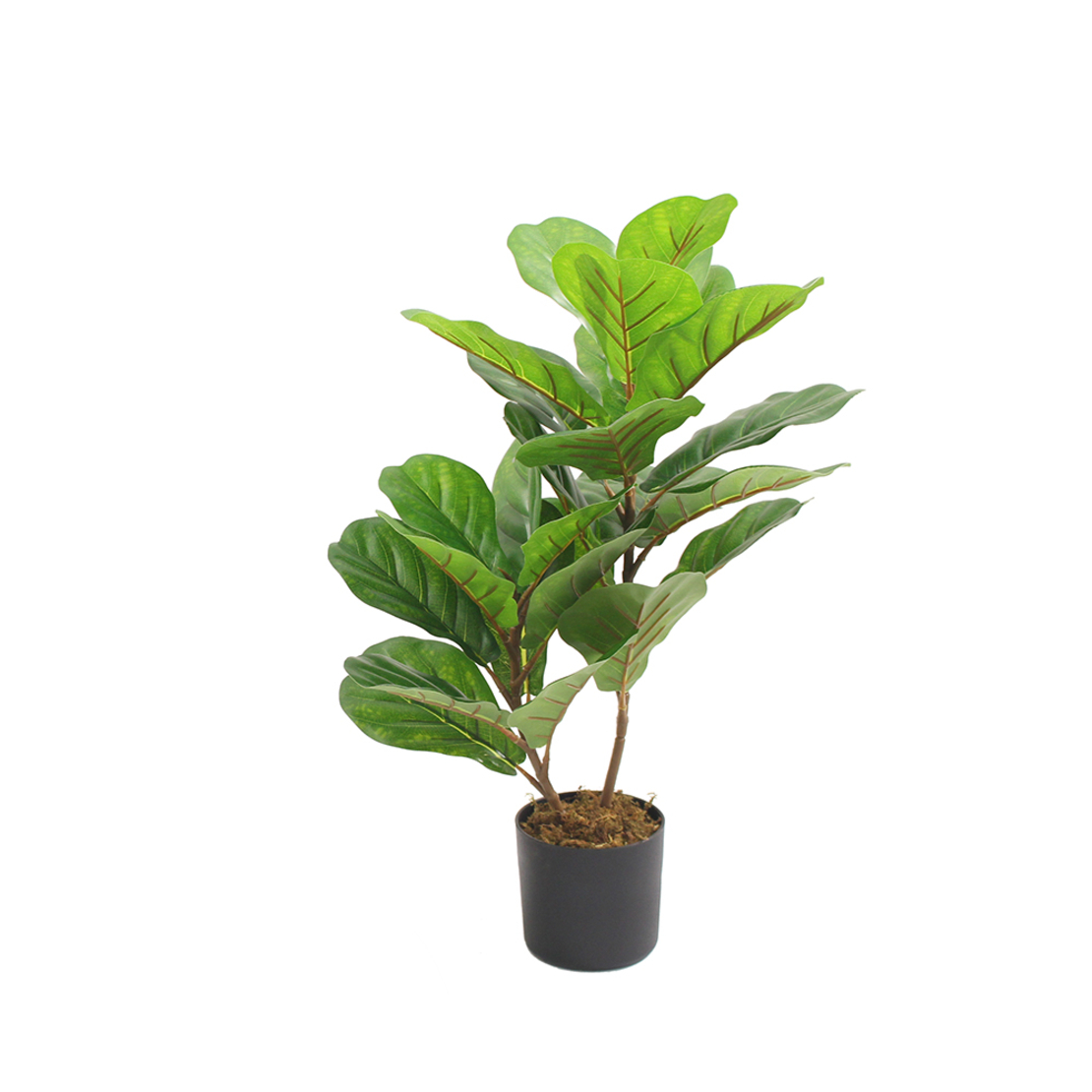 FIDDLE FIG ARTIFICIAL PLANT IN POT PEVA GREEN H65c