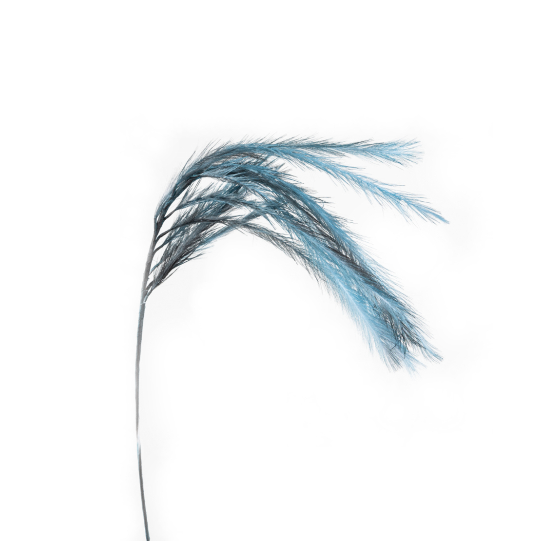 POLUO ARTIFICIAL BRANCH EVA FOAM BLUE GREY H110cm