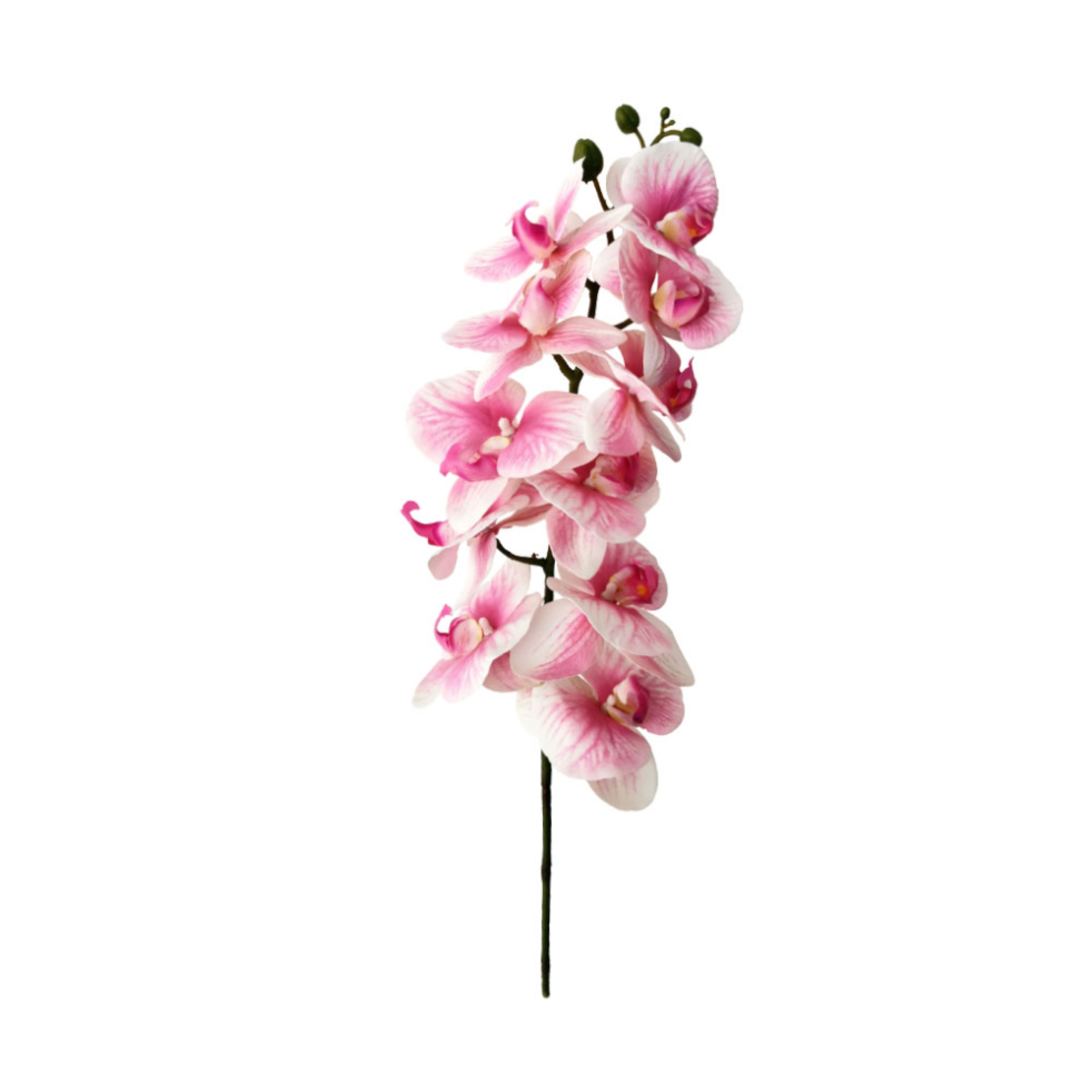 ORCHIDEE ARTIFICIAL FLOWER PEVA PINK WHITE 91x16xH